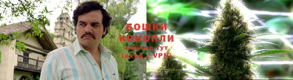 дживик Баксан