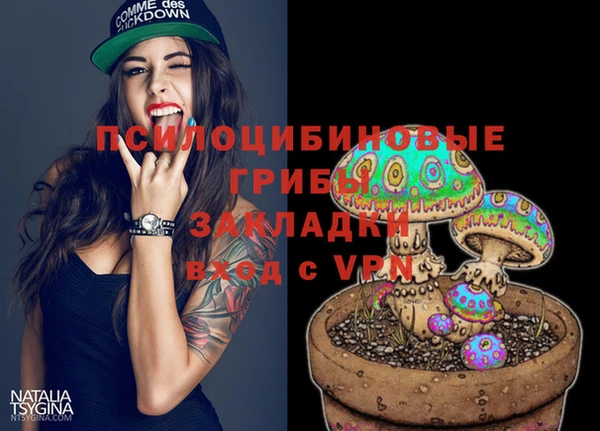 дживик Баксан