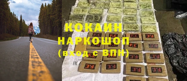 дживик Баксан