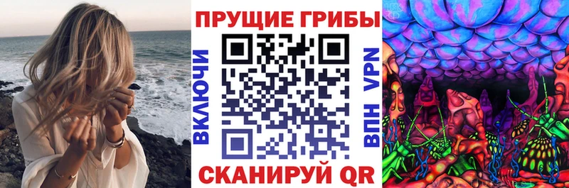 Псилоцибиновые грибы MAGIC MUSHROOMS  магазин продажи   Тотьма 